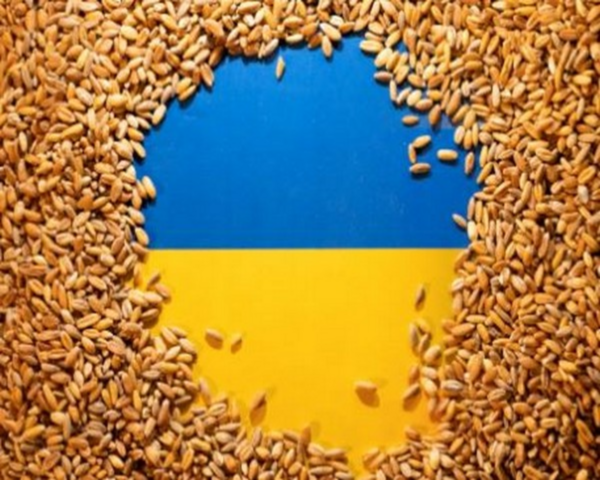 Poland to 'temporarily' prohibit grain, other food imports from Ukraine