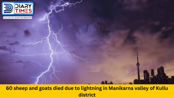 60 sheep and goats died due to lightning in Manikarna valley of Kullu district