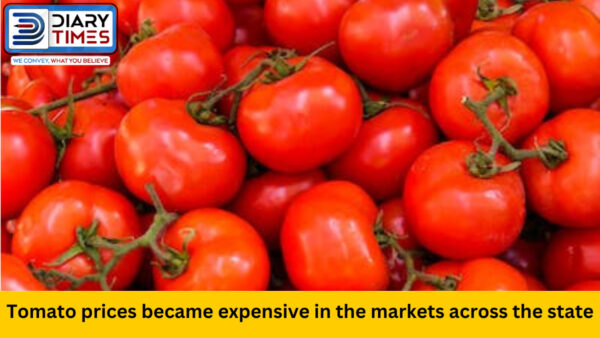 Tomato prices became expensive in the markets across the state
