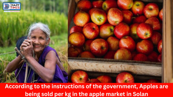 Solan News : According to the instructions of the government, Apples are being sold per kg in the apple market in Solan