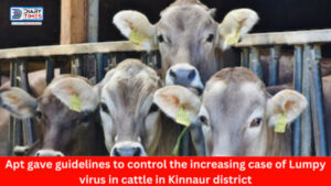 Kinnaur : Apt gave guidelines to control the increasing case of Lumpy virus in cattle in Kinnaur district