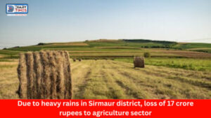 Sirmour : Due to heavy rains in Sirmaur district, loss of 17 crore rupees to agriculture sector