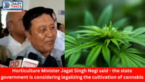 Himachal News - Horticulture Minister Jagat Singh Negi said - the state government is considering legalizing the cultivation of cannabis