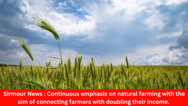 Sirmour News : Continuous emphasis is being laid on natural farming with the aim of connecting farmers with natural farming and doubling their income.