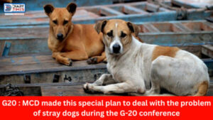 G20 : MCD made this special plan to deal with the problem of stray dogs during the G-20 conference