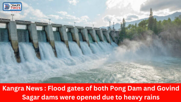 Kangra News : Flood gates of both Pong Dam and Govind Sagar dams were opened due to heavy rains