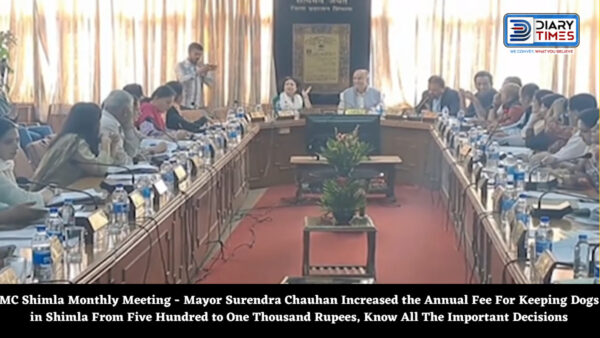 MC Shimla Monthly Meeting - Mayor Surendra Chauhan Increased the Annual Fee For Keeping Dogs in Shimla From Five Hundred to One Thousand Rupees, Know All The Important Decisions
