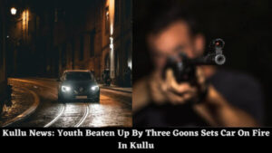 Kullu News: Youth Beaten Up By Three Goons Sets Car On Fire In Kullu