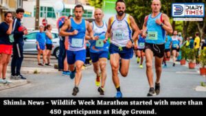 Shimla News - Wildlife Week Marathon started with more than 450 participants at Ridge Ground.