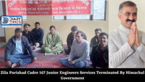 Zila Parishad Cadre 167 Junior Engineers Services Terminated By Himachal Government