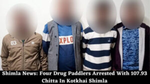 Shimla News: Four Drug Paddlers Arrested With 107.93 Chitta In Kotkhai Shimla