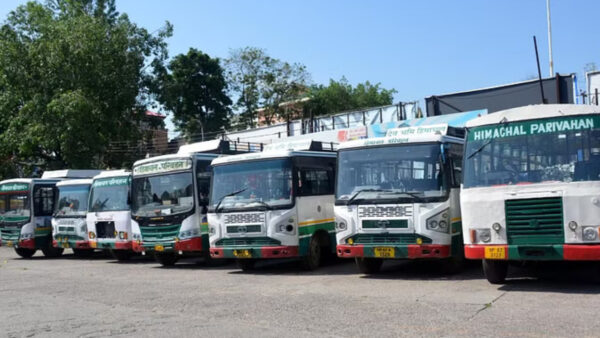 HRTC Buses (File) - Photo: Diary Times