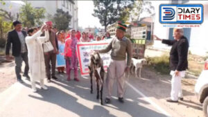People Protesting By Tying Posters Around The Neck of The Goat. - Photo: Diary Times