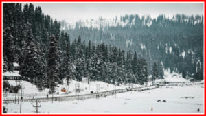 Alert of heavy snowfall in many districts of Himachal - Photo: Diary Times