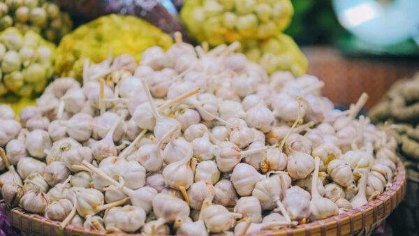 Garlic - Photo: Diary Times