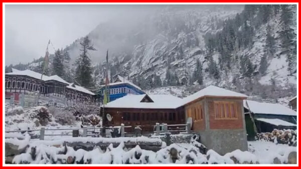 Snowfall in Kinnaur. - Photo: Diary Times