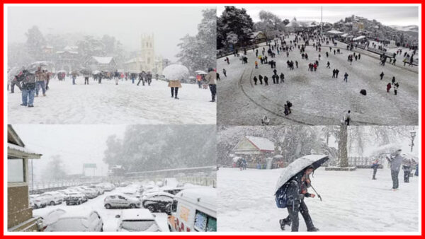 Snowfall in Shimla. - Photo: Diary Times