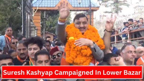 BJP Candidate From Shimla Parliamentary Seat Suresh Kashyap Campaigned In Lower Bazar