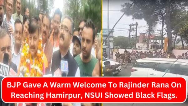 BJP Gave A Warm Welcome To Rajinder Rana On Reaching Hamirpur, NSUI Showed Black Flags.