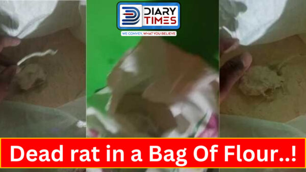 Dead rat in a Bag Of Flour..!