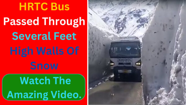 HRTC bus passed through several feet high walls of snow - Photo: diary times