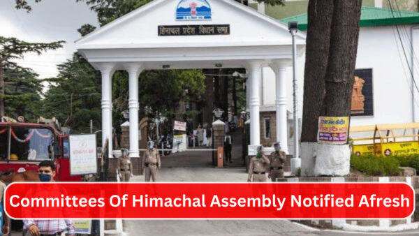 Himachal Pradesh Assembly - Photo : diary times