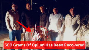 Nepali Origin Smuggler Was Selling Opium To People In Theog