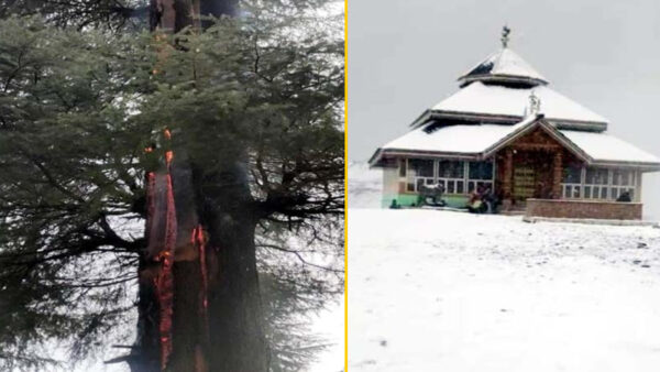 Snowfall in Shikari Devi, Kamrunag and Shaitadhar, rain in the plains became Sanjeevani