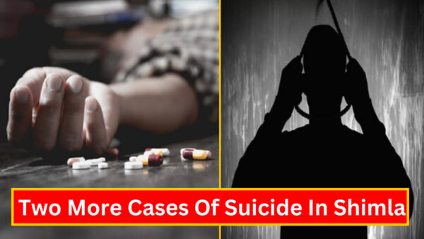 Two More Cases Of Suicide In Shimla