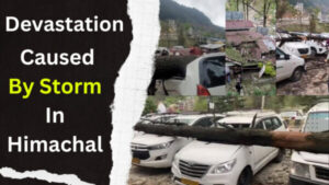 VIDEO || Storm in many areas of Himachal, trees fell in Manali and Una, many vehicles damaged