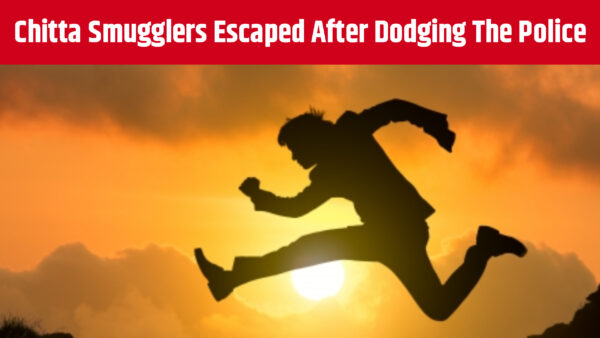 Chitta Smugglers Escaped After Dodging The Police