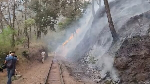 Forest Fires Shimla