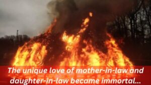 Himachal News: Daughter-in-law could not bear the shock of mother-in-law's death, funeral pyres of mother-in-law and daughter-in-law were lit together