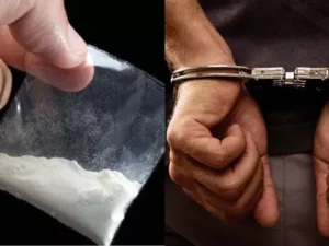 Una: Four youths from Punjab and Kangra arrested with 11.07 grams of chitta