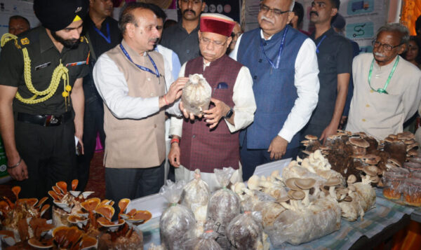 Governor stresses need for scientific research to promote mushroom cultivation at National Mushroom Fair