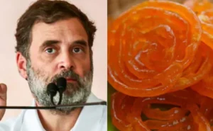 Rahul Gandhi, BJP and the jalebi factor in Haryana elections