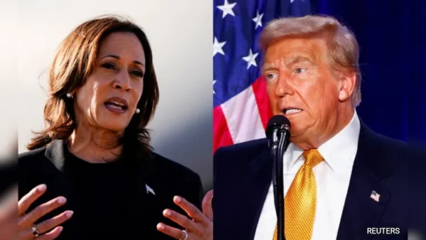 Harris vs. Trump: Views on AI regulation take center stage in US elections