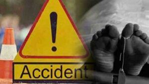 Veterinary Pharmacist Dies in Road Accident on Sungri-Nasari Road in Rohru