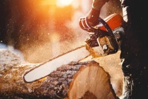 Chain Wood Cutters-500x500