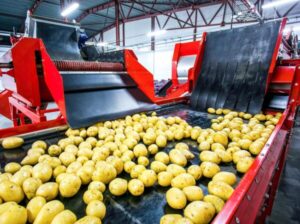 Potato processing plant-Representative Image