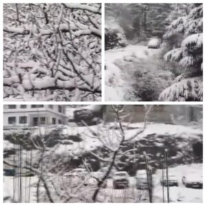 Snowfall in Shimla