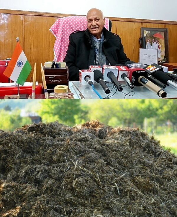 Himachal Government Initiates Cow Dung Purchase Scheme: 378 Quintals Bought from 100 Farmers