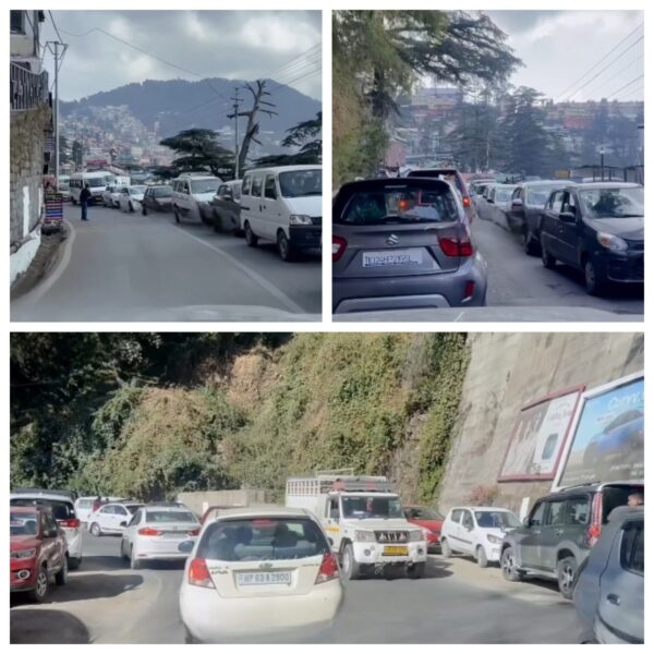 shimla traffic