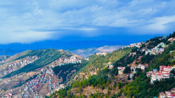 Shimla weather (1)