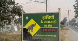 The influx of wild elephants increased in Paonta Sahib - Devices installed to drive the elephants towards the forests