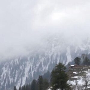 Himachal Weather