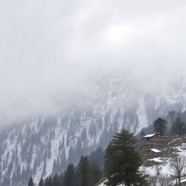 Himachal Weather