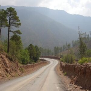 Kufri-Chail road