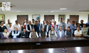 Naga National Political Groups (NNPGs)