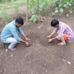 Cow Dung and Compost Purchase Started in Solan, Farmers are Getting Benefitted